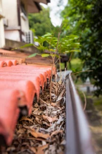 Home 12 close up of clogged roof rain gutter full of dry l 2026 03 20 00 46 41 utc 2